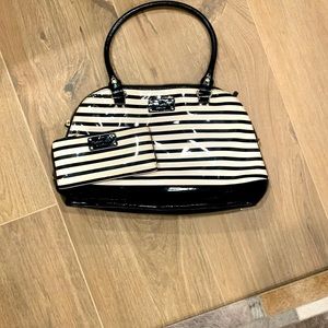 Kate spade wallet and bag set striped